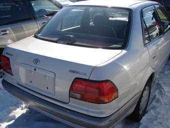 Corolla