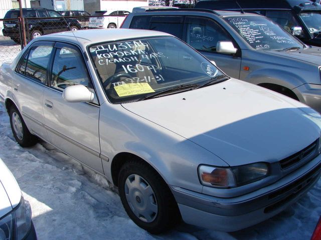 1996 Toyota Corolla