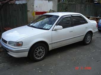 1996 Toyota Corolla