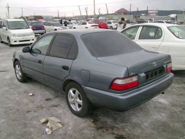 1996 Toyota Corolla