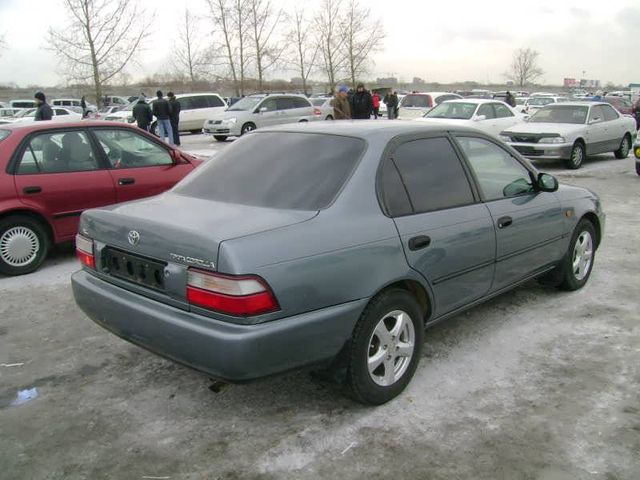 1996 Toyota Corolla