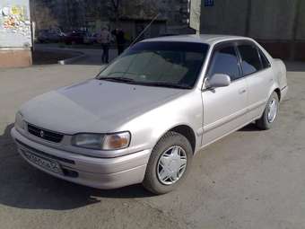 1996 Toyota Corolla