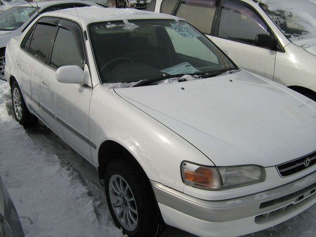 1996 Toyota Corolla