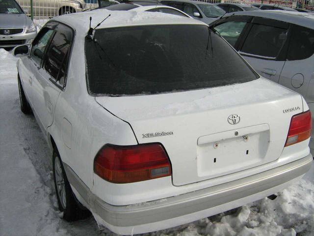 1996 Toyota Corolla