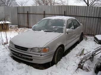 1996 Toyota Corolla