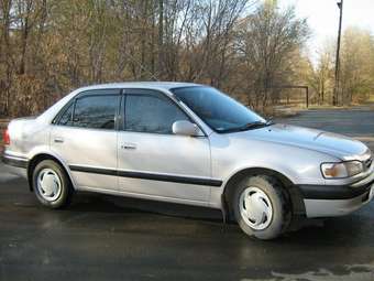 1996 Toyota Corolla