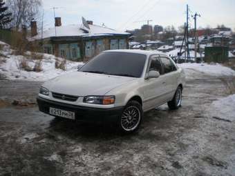 1996 Toyota Corolla