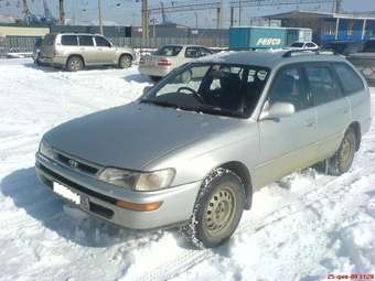 1996 Toyota Corolla