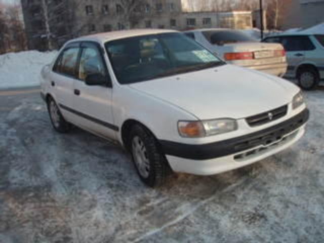 1996 Toyota Corolla