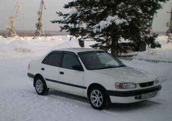 1996 Toyota Corolla