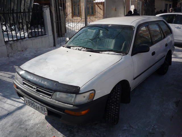 1996 Toyota Corolla