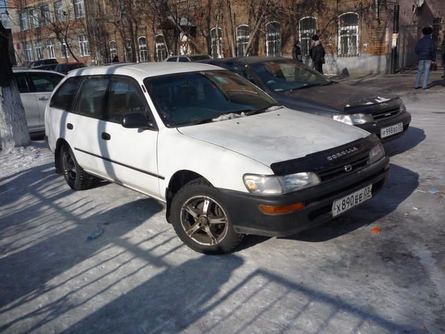 1996 Toyota Corolla