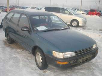 1996 Toyota Corolla