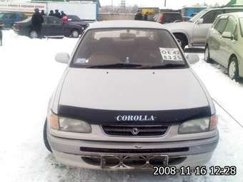 1996 Corolla