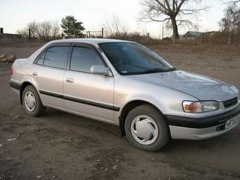 1996 Toyota Corolla