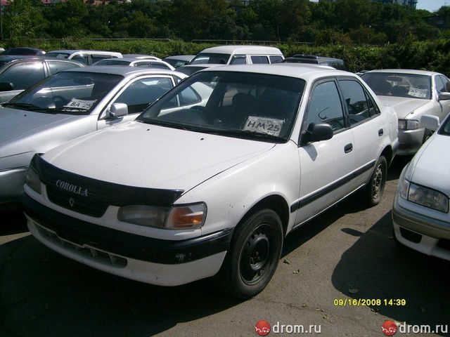 1996 Toyota Corolla