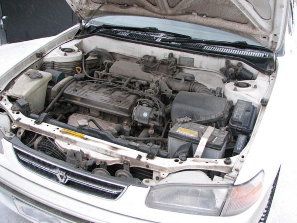 1996 Toyota Corolla