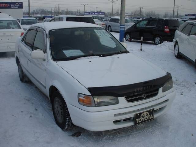 1996 Toyota Corolla