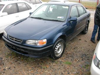 1996 Toyota Corolla