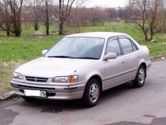 1996 Toyota Corolla For Sale