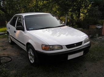 1996 Toyota Corolla For Sale