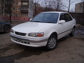 1996 Toyota Corolla