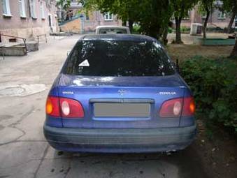 1997 Corolla