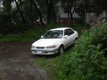 1997 Toyota Corolla