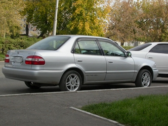 Corolla