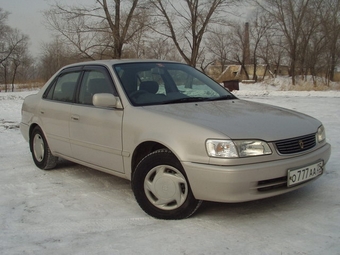 Corolla