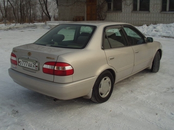 1997 Corolla