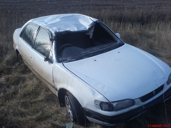 Corolla
