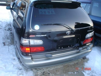 Corolla