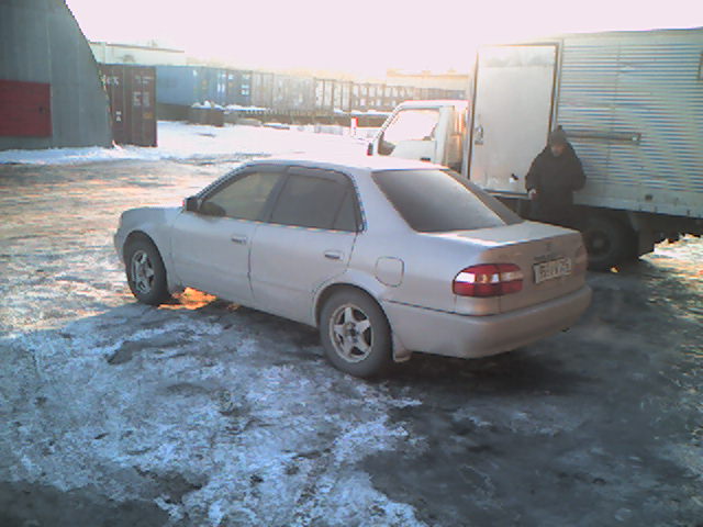 Corolla
