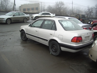 1997 Corolla