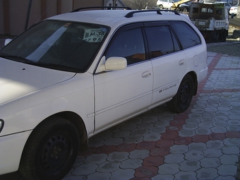 Corolla