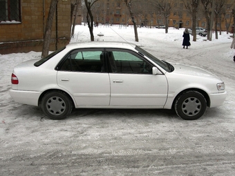 Corolla