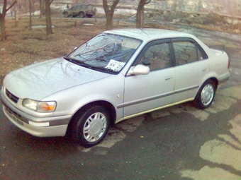 Corolla