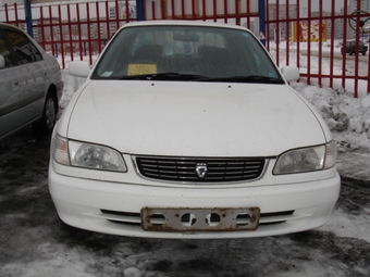 Corolla