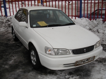 1997 Corolla