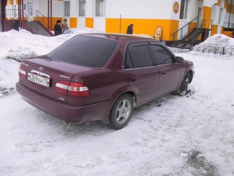 Corolla