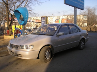 Corolla