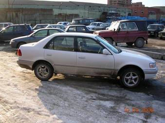 Corolla