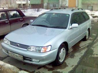 Corolla