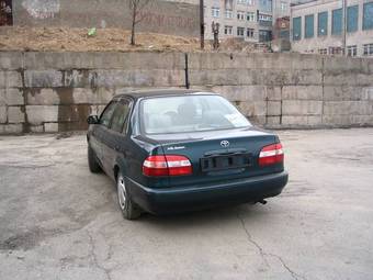 Corolla