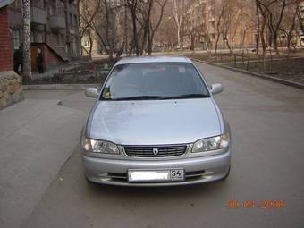Corolla