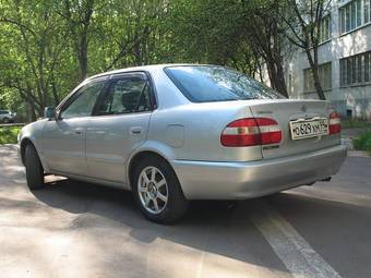 Corolla