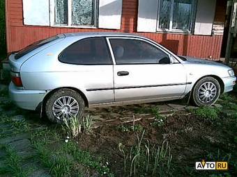 1997 Corolla