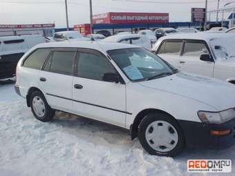 1997 Corolla