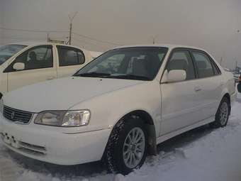 1997 Corolla